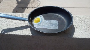 The egg cooked in the Arizona heat!